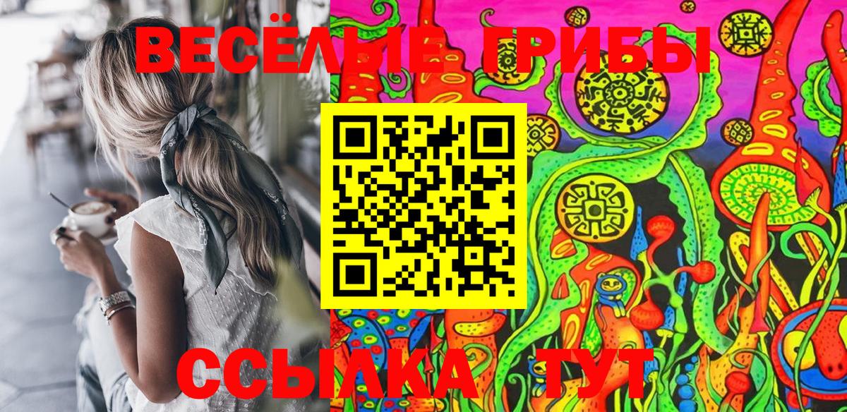 Жигулёвск  Галлюциногенные грибы Cubensis  Вход с VPN 